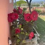 Alojamento de Acomodação e Pequeno-almoço D'hôtes A L'ancre Marine De La Rose Nice