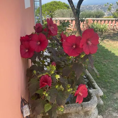 Bed & Breakfast D'hotes A L'ancre Marine De La Rose Nizza