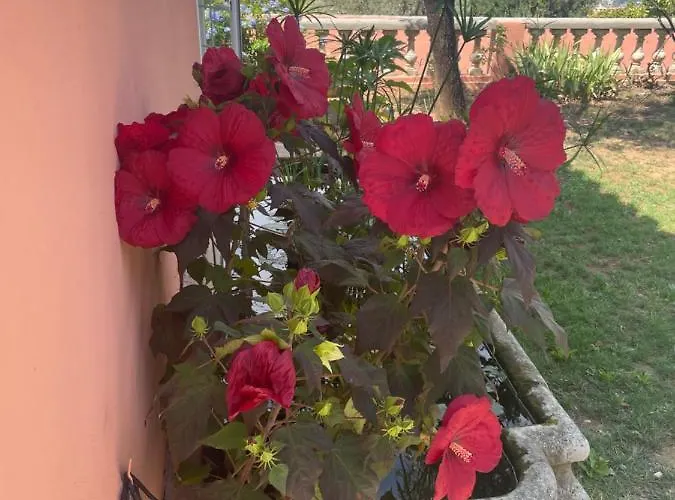 B&B D'hotes A L'ancre Marine 니스